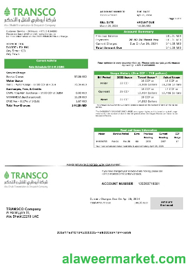 United Arab Emirates Abu Dhabi Distribution electricity business utility bill template in Word and PDF formats